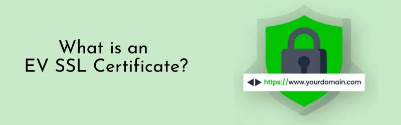 Why Your Website Needs an EV SSL Certificate