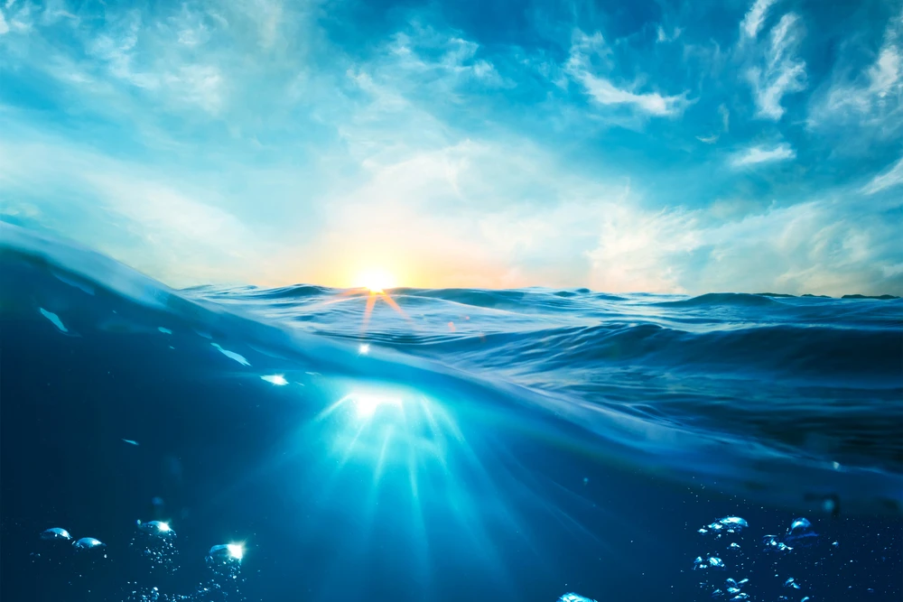 The Importance of Intangible Asset Disclosure for Attracting Investors