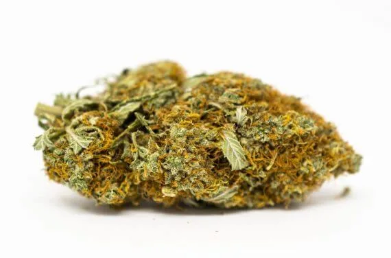 Can Indica Help with Anxiety and Stress?