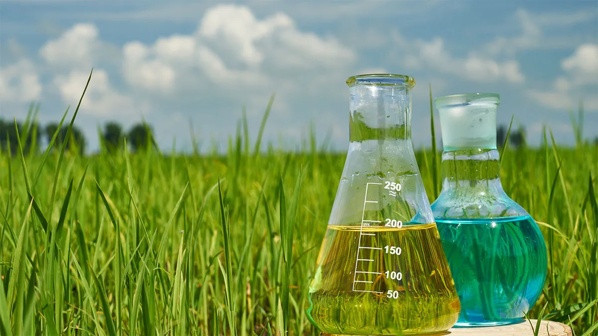 Top Agrochemical Companies in India Shaping the Future of Modern Farming
