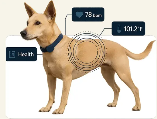 Furfield TrackMyTail – Smart Pet ID Tags for Advanced Dog Safety & Tracking
