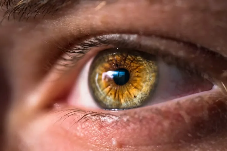 How to Slow Down the Progression of Diabetic Retinopathy