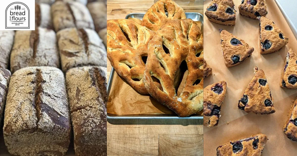 Satisfy Your Sweet Cravings With Plant-Based Moments At Vegan Bakery