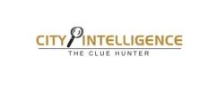 City Intellegence