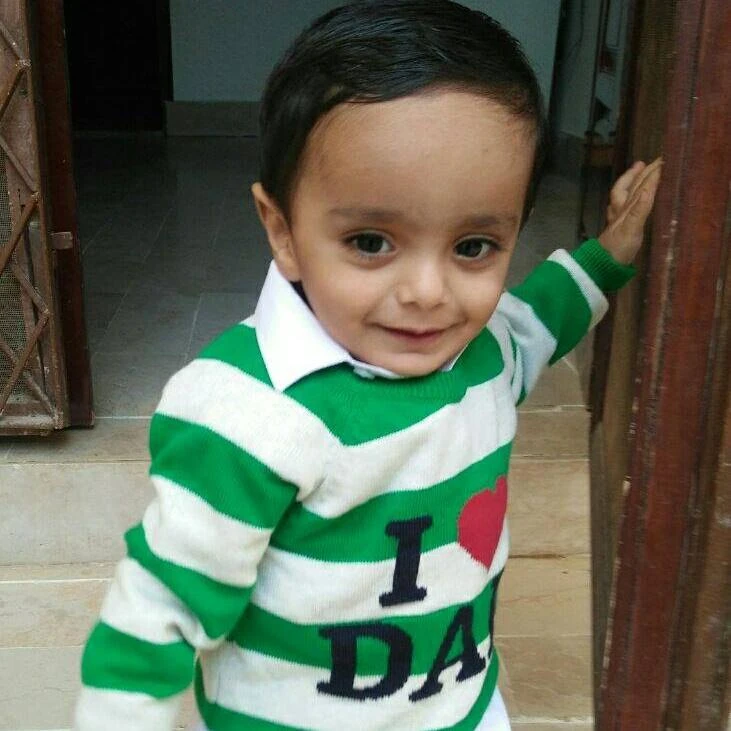 Anas asotra