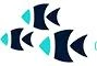 Oceanography