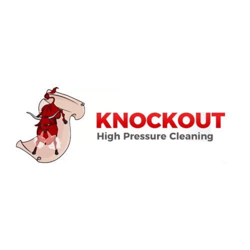 Knockout High Pressure Cleaning 