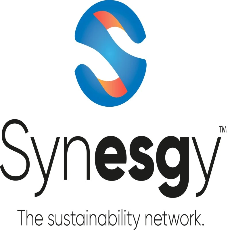 Synesgy